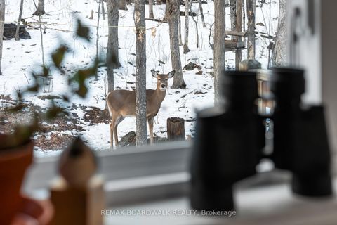 Photo 20 at 228 Stewart Gibson Road, Lanark Highlands (Lanark) Twp, Lanark Highlands