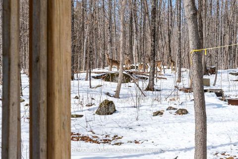 Photo 37 at 228 Stewart Gibson Road, Lanark Highlands (Lanark) Twp, Lanark Highlands