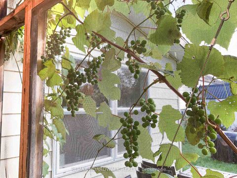 Photo 23 at 32 Cockburn Street, Perth