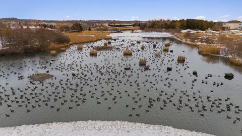 Photo 16 at 816 ELEMENT Private, Emerald Meadows/Trailwest, Kanata