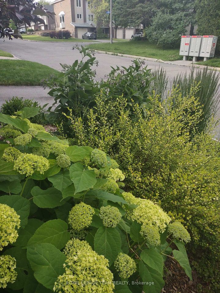 Photo 31 at 43 Whelan Drive, Nepean (Pheasant Run), Ottawa