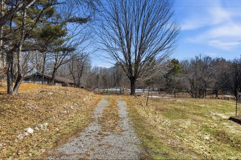 Photo 37 at 718 Jones Falls Road, Rideau Lakes (South Crosby) Twp, Rideau Lakes