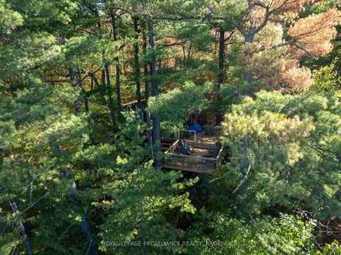 Photo 31 at 450 Brooks Point Road, Rideau Lakes (South Crosby) Twp, Rideau Lakes