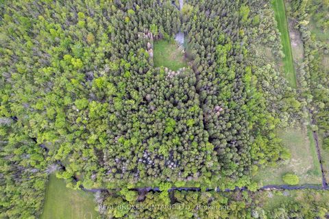 Photo 14 at 2635 Mcmullen Road, Nepean (Rideau Twp S of Reg Rd 6 W of Mccordick Rd.), Ottawa