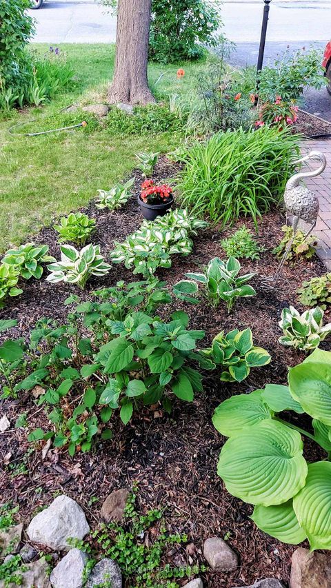 Photo 21 at 177 Redpath Drive, Nepean (Barrhaven East), Ottawa