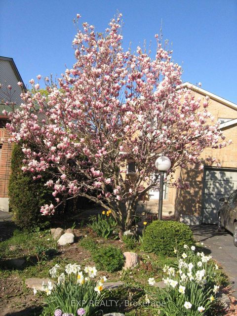 Photo 45 at 31 Coolspring Crescent, Nepean (Borden Farm/Stewart Farm/Carleton Heights/Parkwood Hills), Ottawa